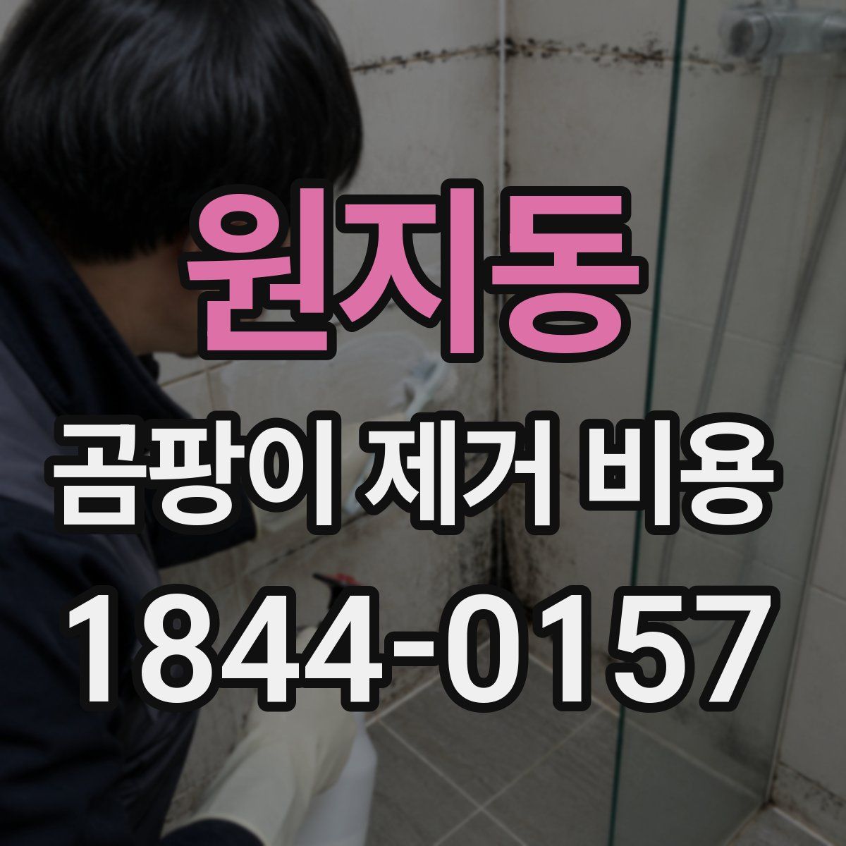 원지동 곰팡이 제거 비용