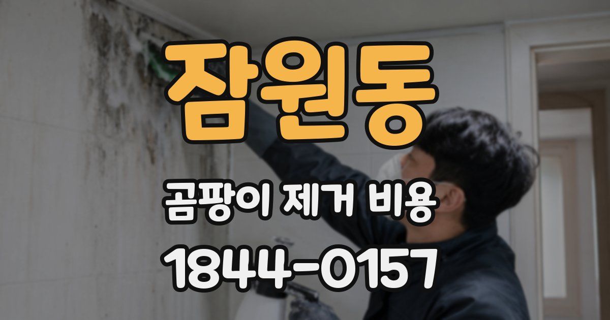 잠원동 곰팡이 제거 비용