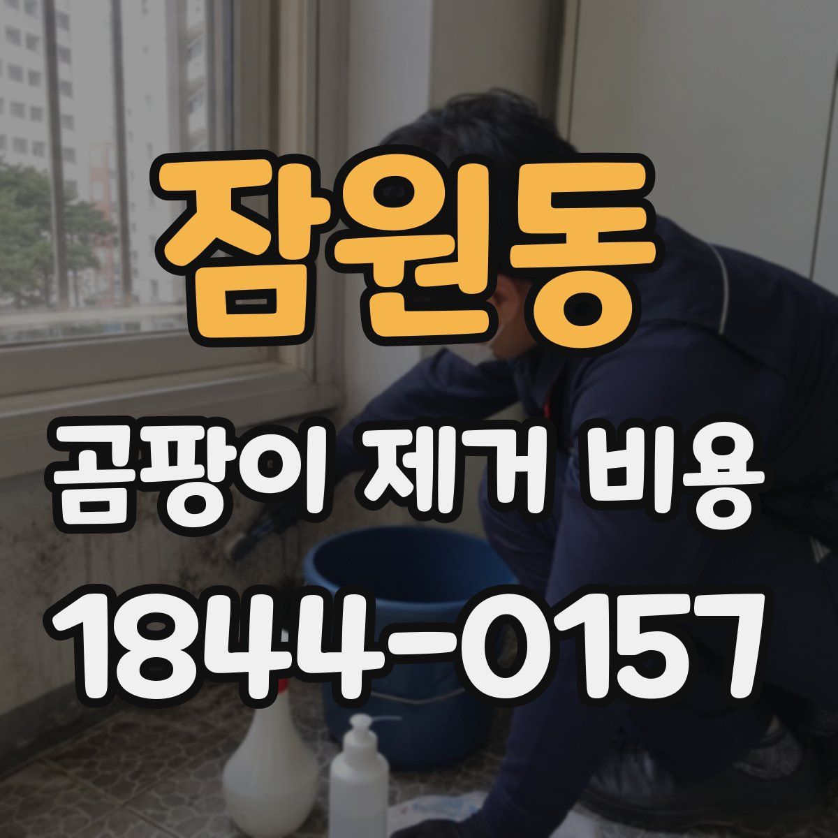 잠원동 곰팡이 제거 비용