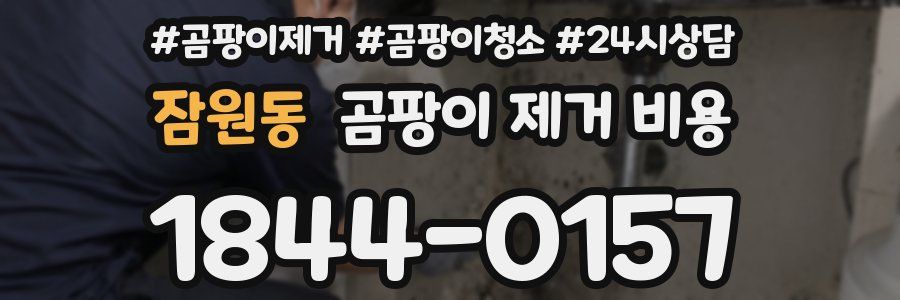 잠원동 곰팡이 제거 비용