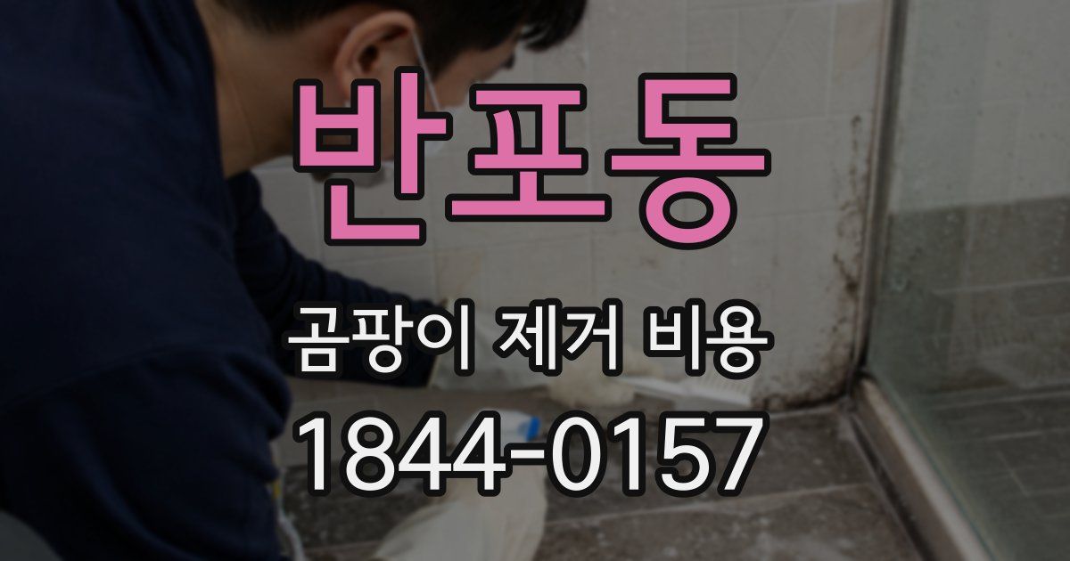 반포동 곰팡이 제거 비용