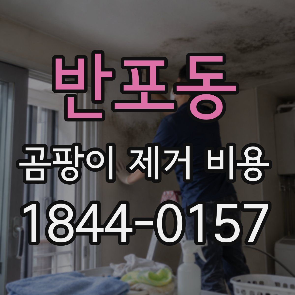 반포동 곰팡이 제거 비용