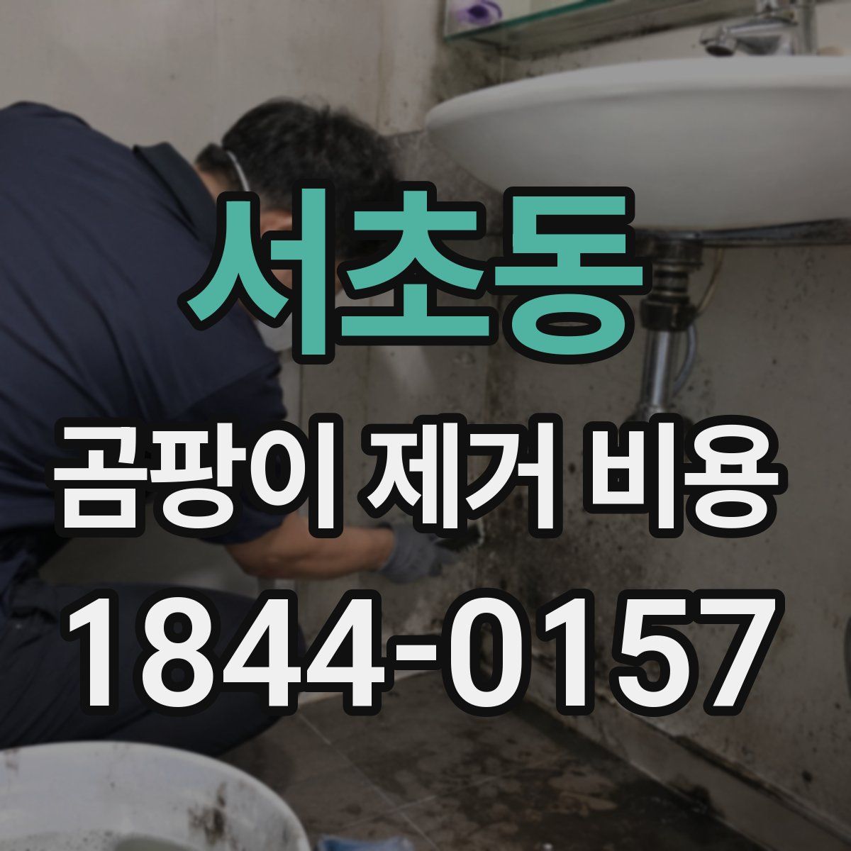 서초동 곰팡이 제거 비용