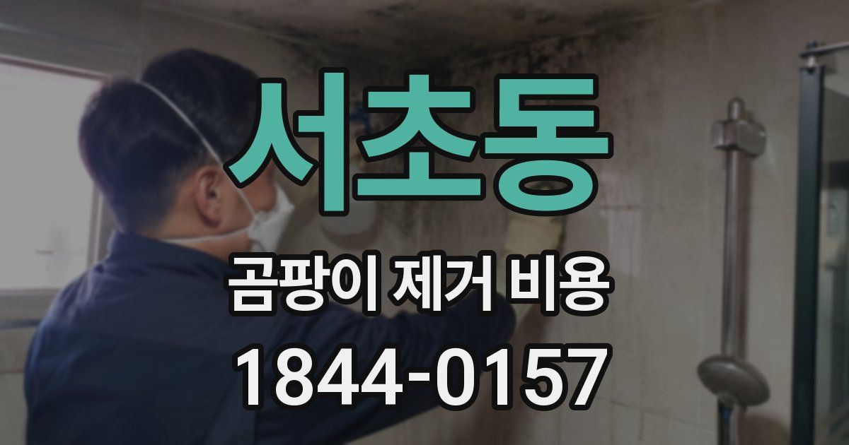 서초동 곰팡이 제거 비용