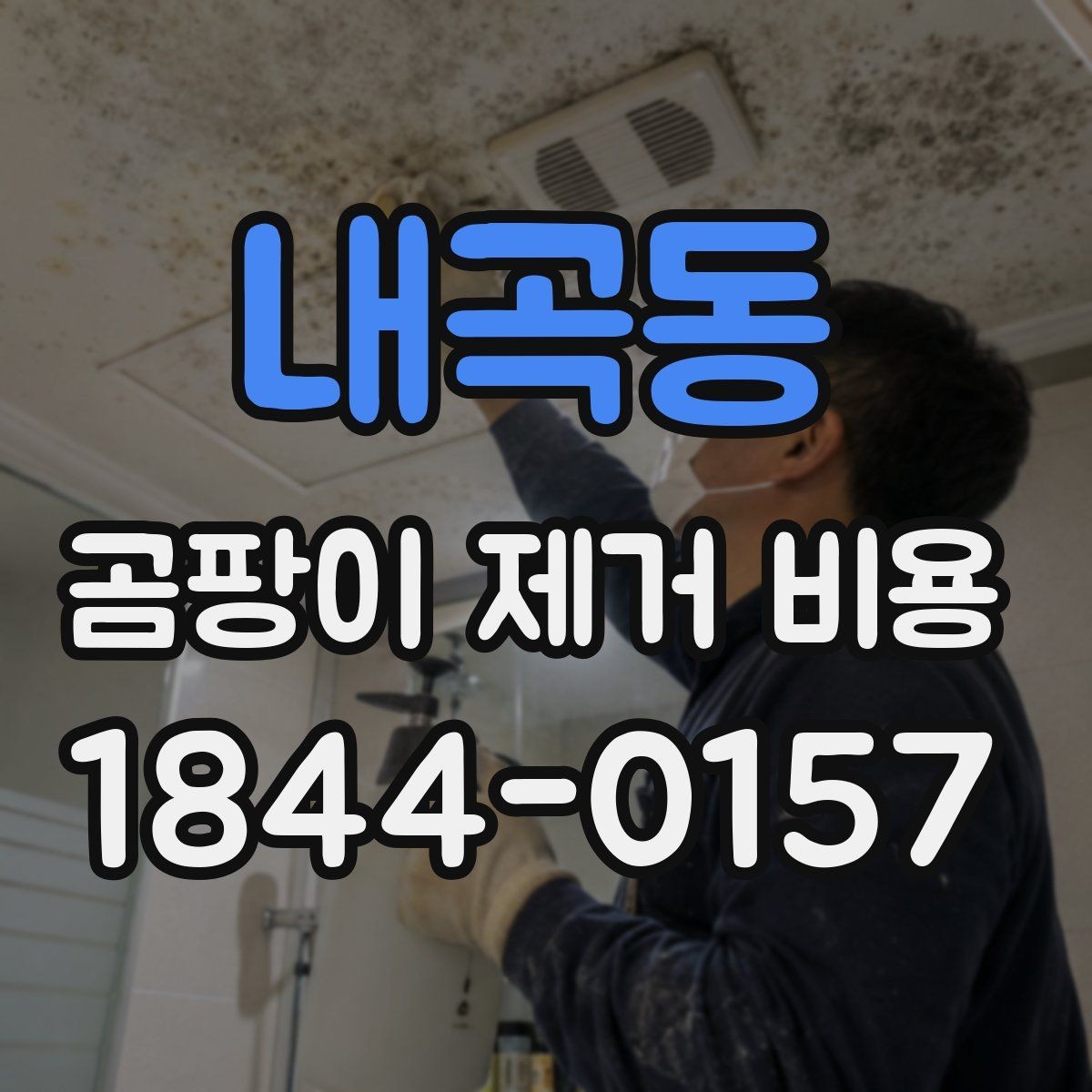 내곡동 곰팡이 제거 비용 단열 문제를 같이 해결할 때 살펴볼 점