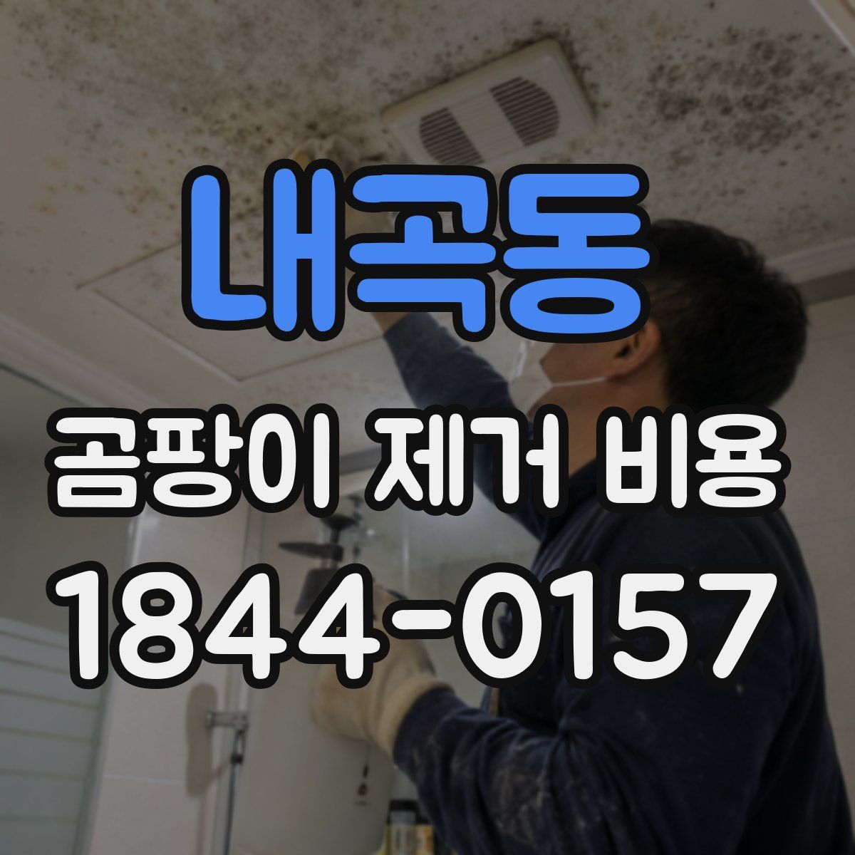 내곡동 곰팡이 제거 비용