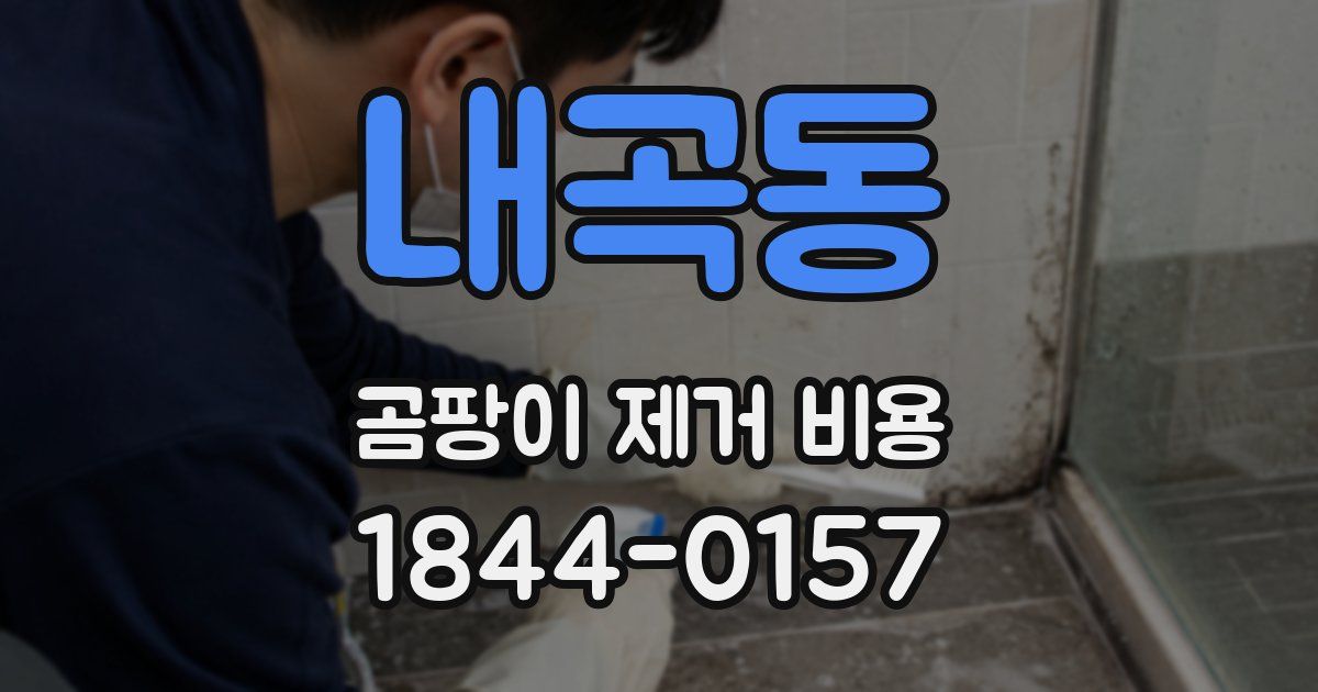 내곡동 곰팡이 제거 비용