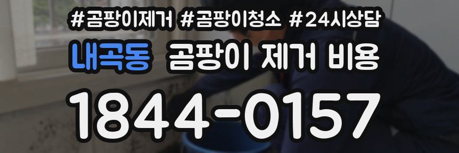 내곡동 곰팡이 제거 비용