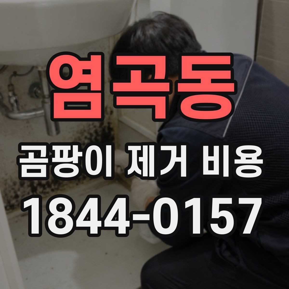염곡동 곰팡이 제거 비용 단열 문제를 같이 해결할 때 살펴볼 점