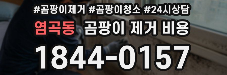 염곡동 곰팡이 제거 비용