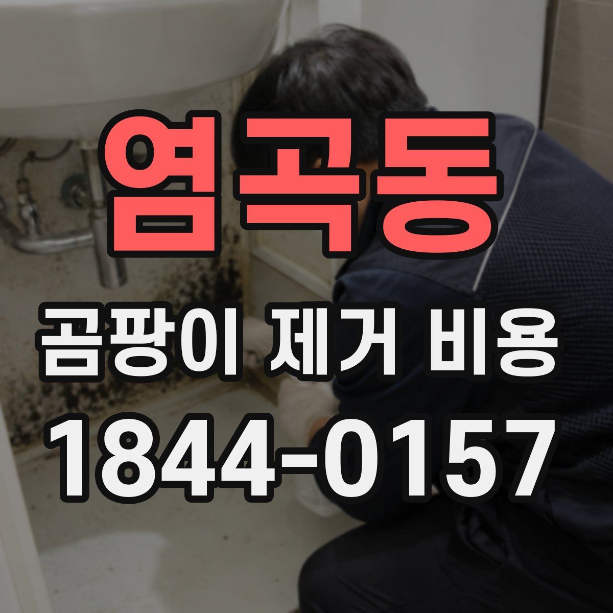 염곡동 곰팡이 제거 비용