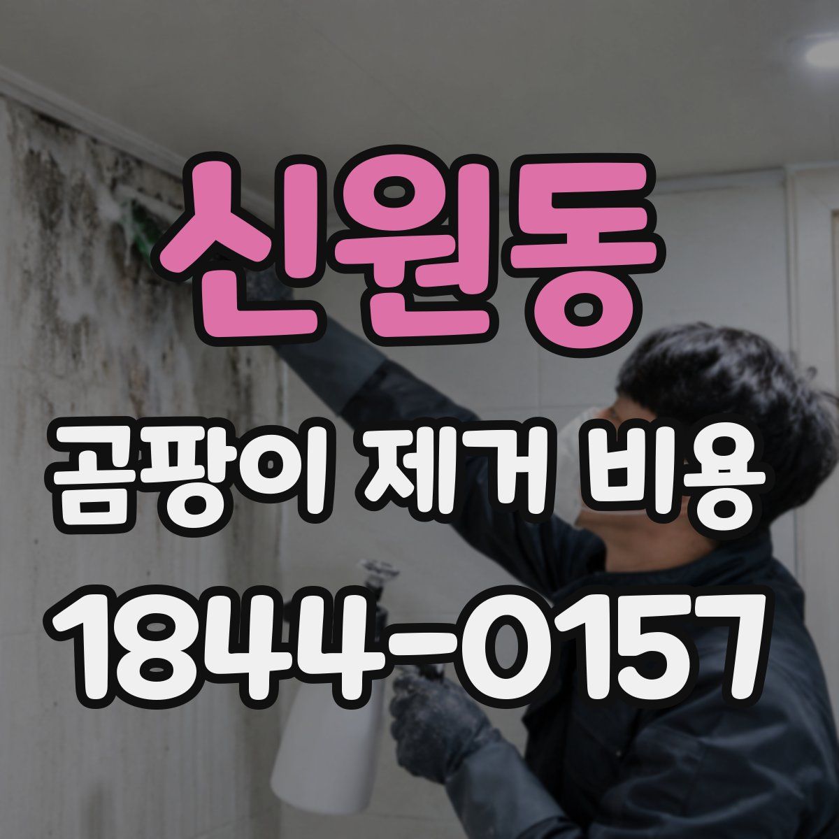 신원동 곰팡이 제거 비용