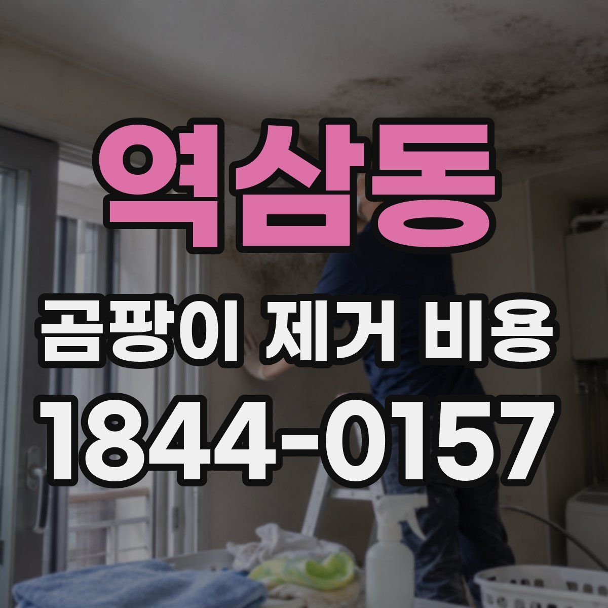 역삼동 곰팡이 제거 비용
