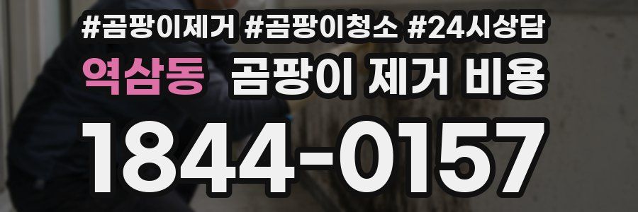 역삼동 곰팡이 제거 비용