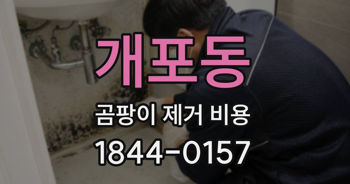 개포동 곰팡이 제거 비용