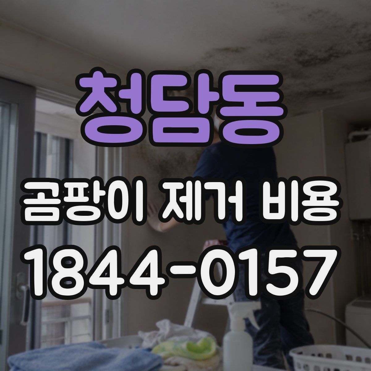 청담동 곰팡이 제거 비용