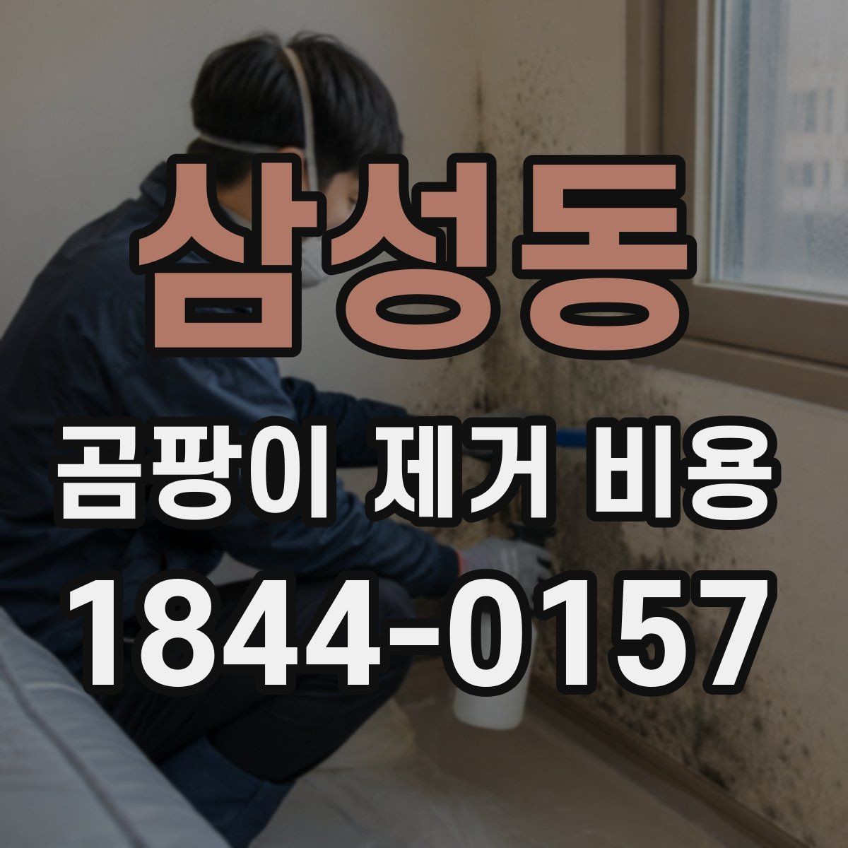 삼성동 곰팡이 제거 비용 소독과 항균 마감이 포함되는지