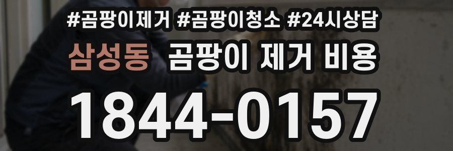 삼성동 곰팡이 제거 비용