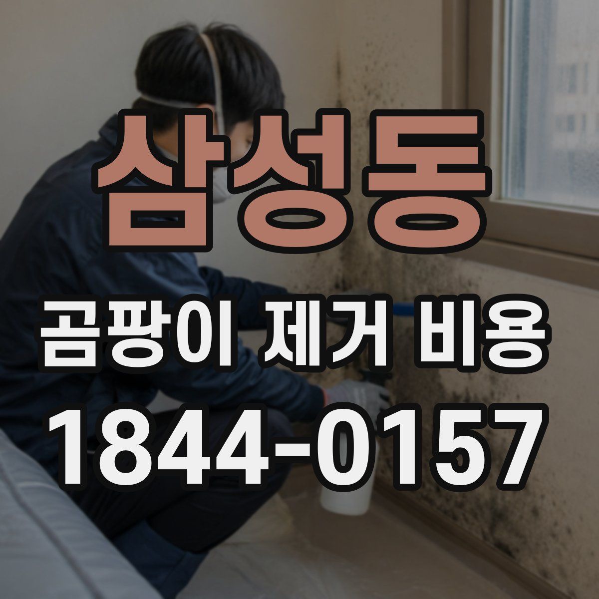 삼성동 곰팡이 제거 비용
