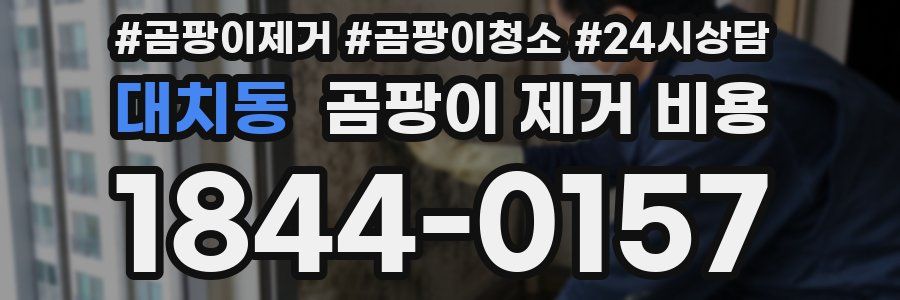 대치동 곰팡이 제거 비용