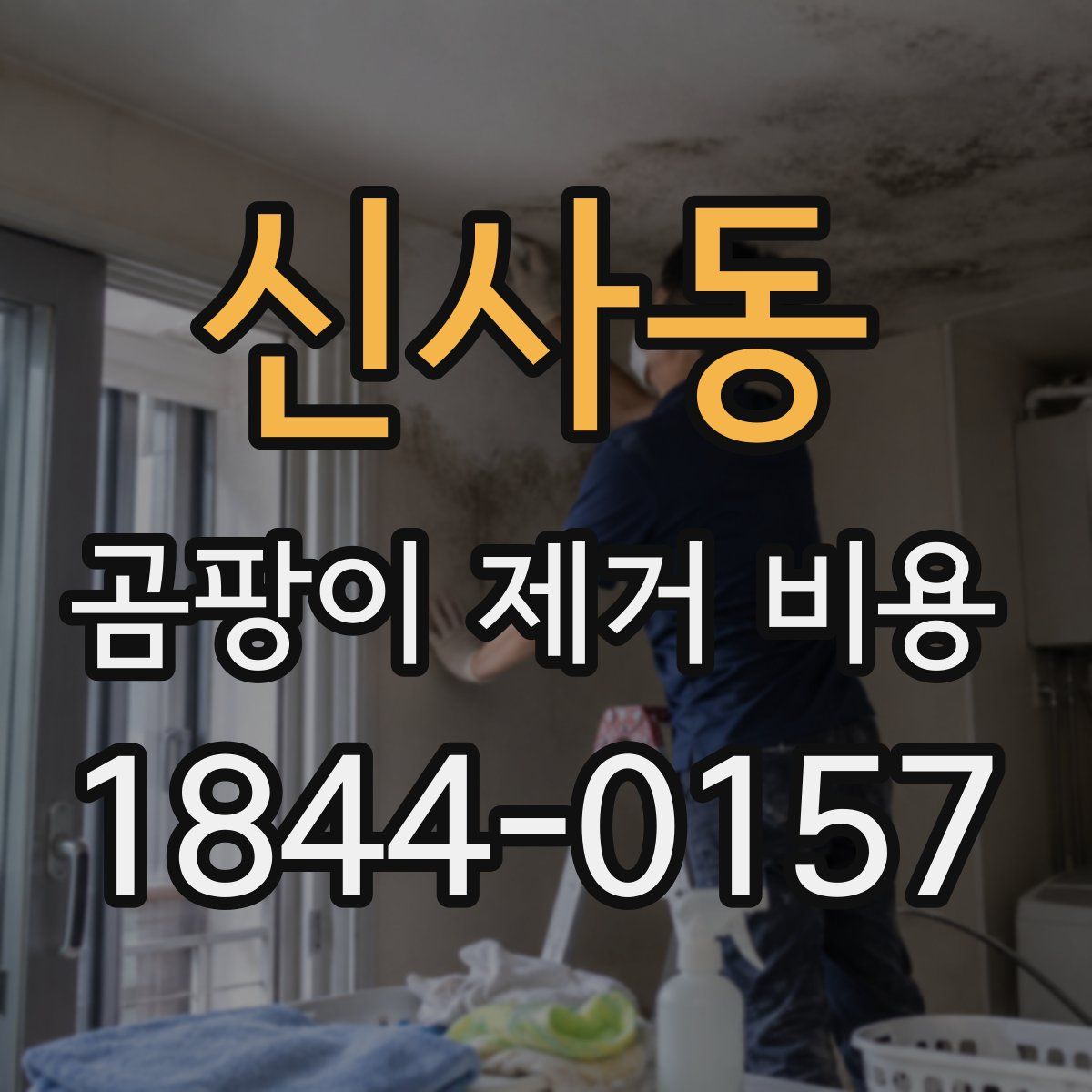 신사동 곰팡이 제거 비용