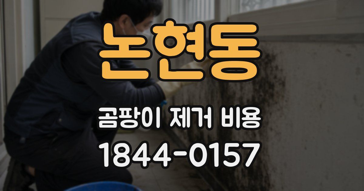 논현동 곰팡이 제거 비용