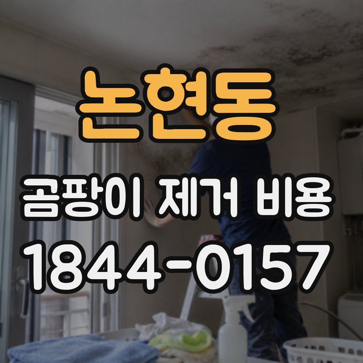 논현동 곰팡이 제거 비용