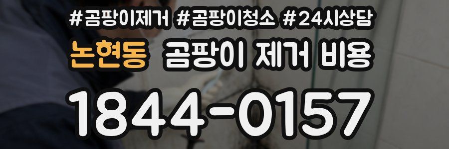 논현동 곰팡이 제거 비용