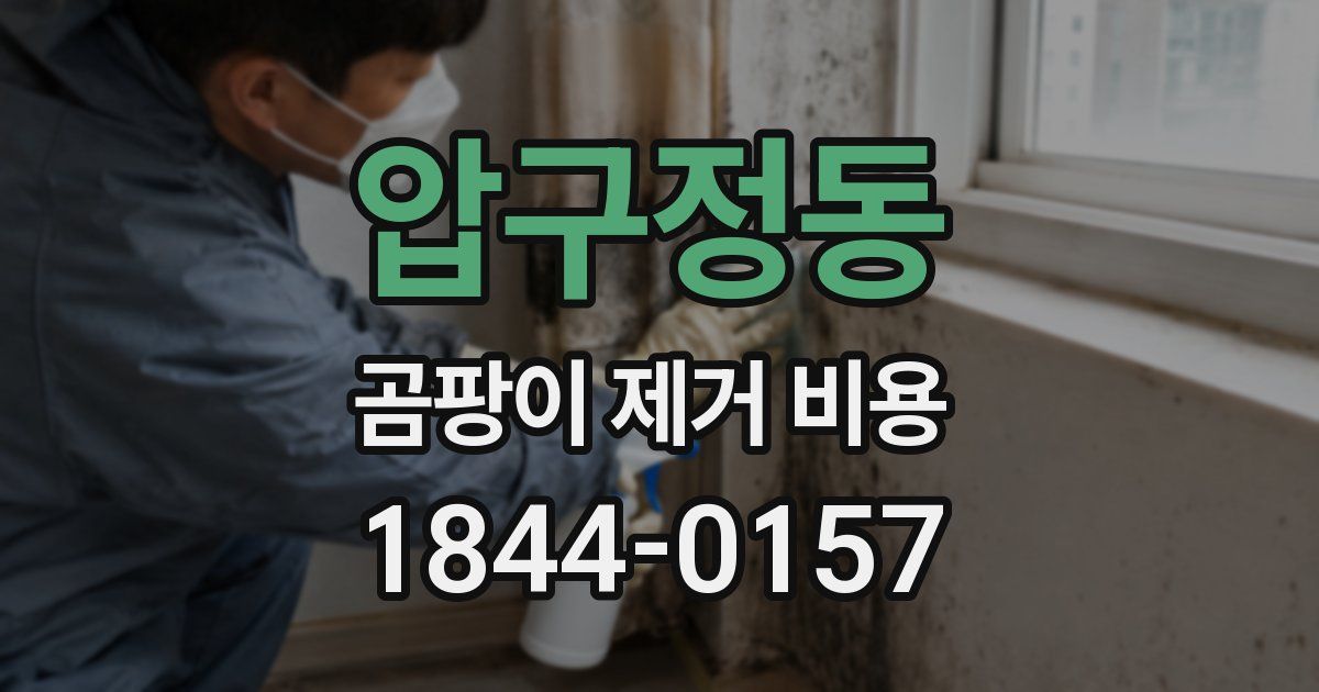 압구정동 곰팡이 제거 비용