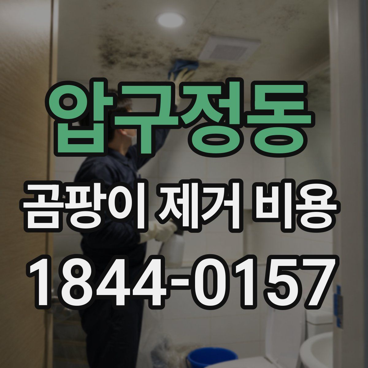 압구정동 곰팡이 제거 비용