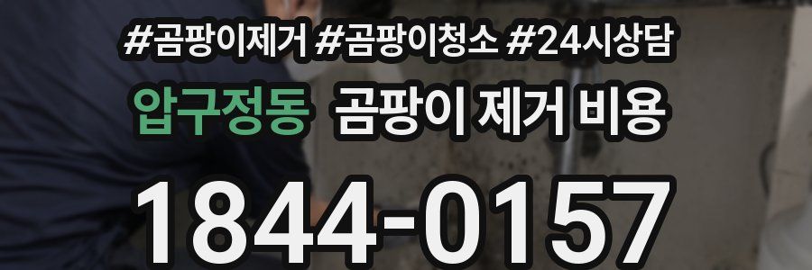 압구정동 곰팡이 제거 비용
