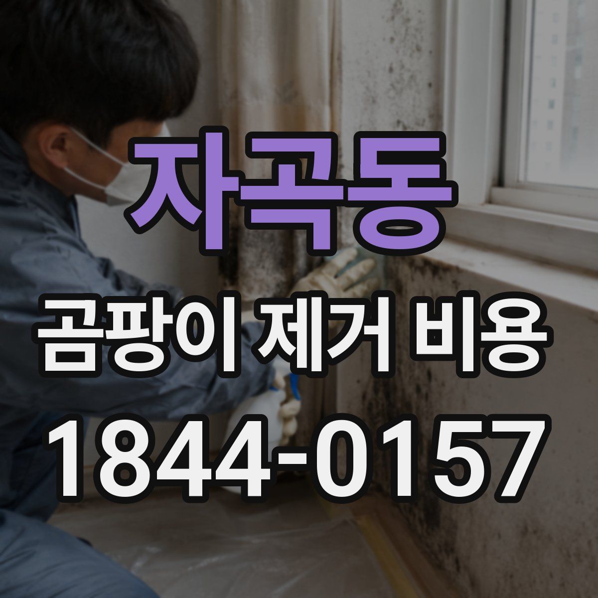 자곡동 곰팡이 제거 비용
