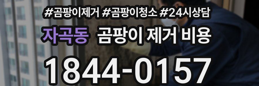 자곡동 곰팡이 제거 비용