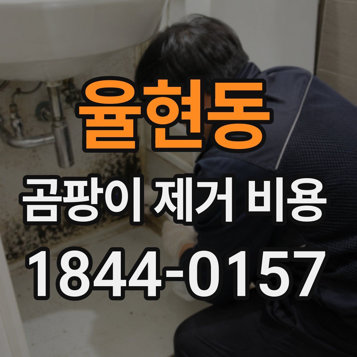 율현동 곰팡이 제거 비용