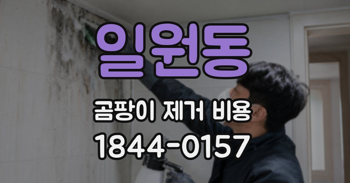일원동 곰팡이 제거 비용