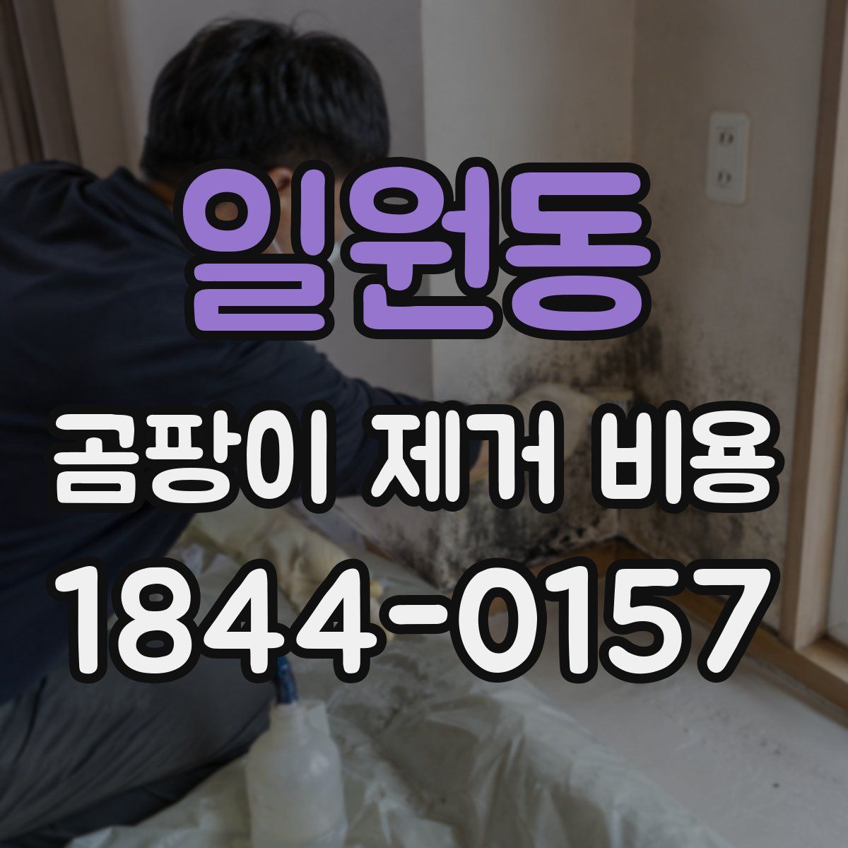 일원동 곰팡이 제거 비용