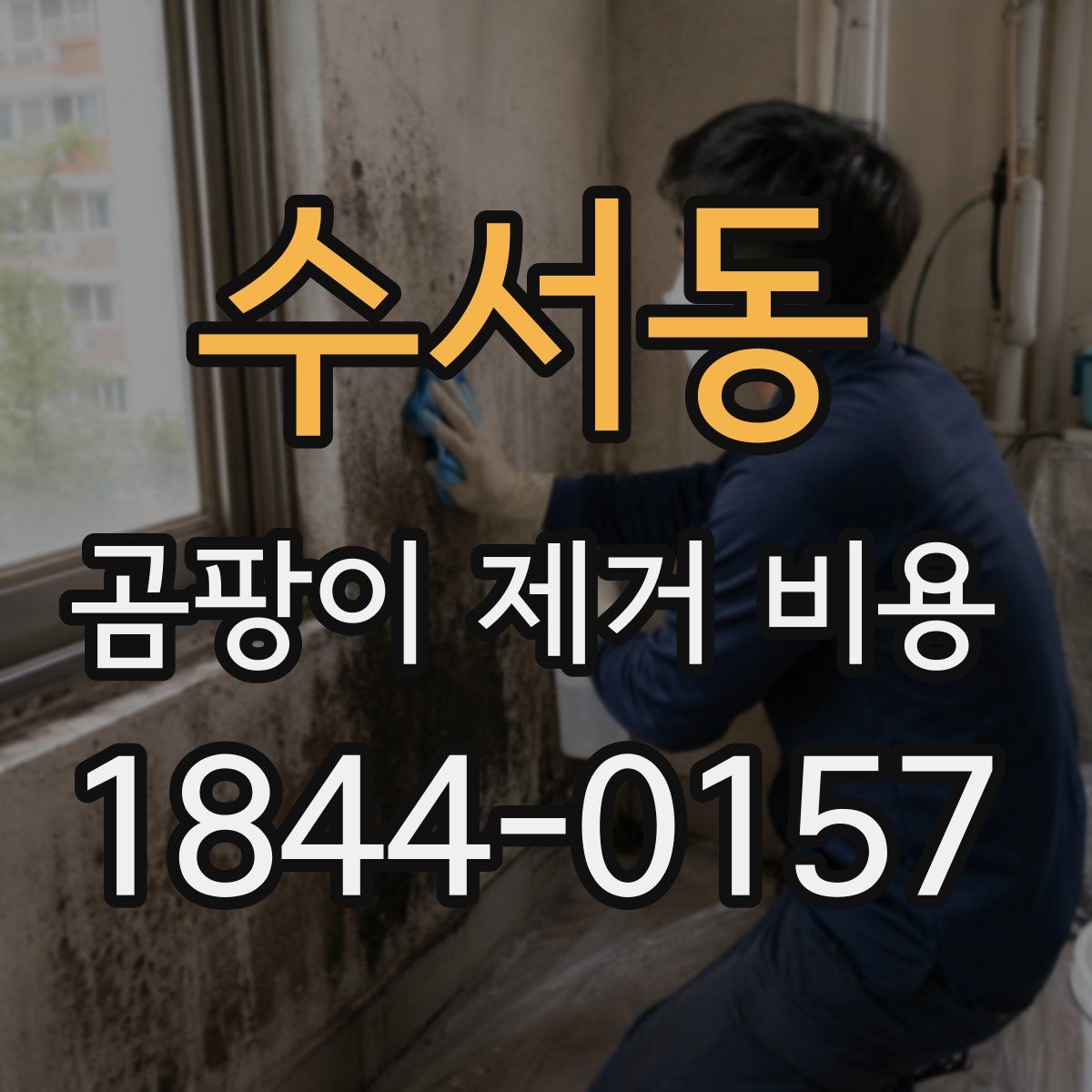 수서동 곰팡이 제거 비용