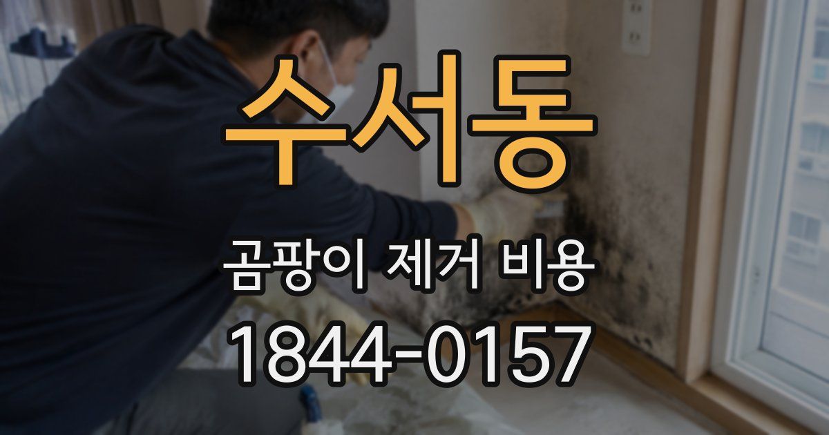 수서동 곰팡이 제거 비용