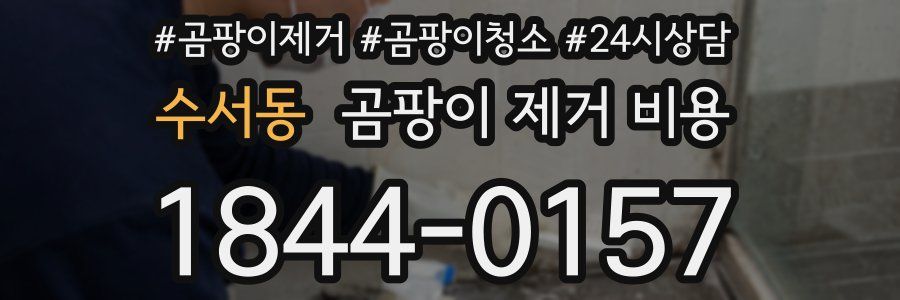 수서동 곰팡이 제거 비용