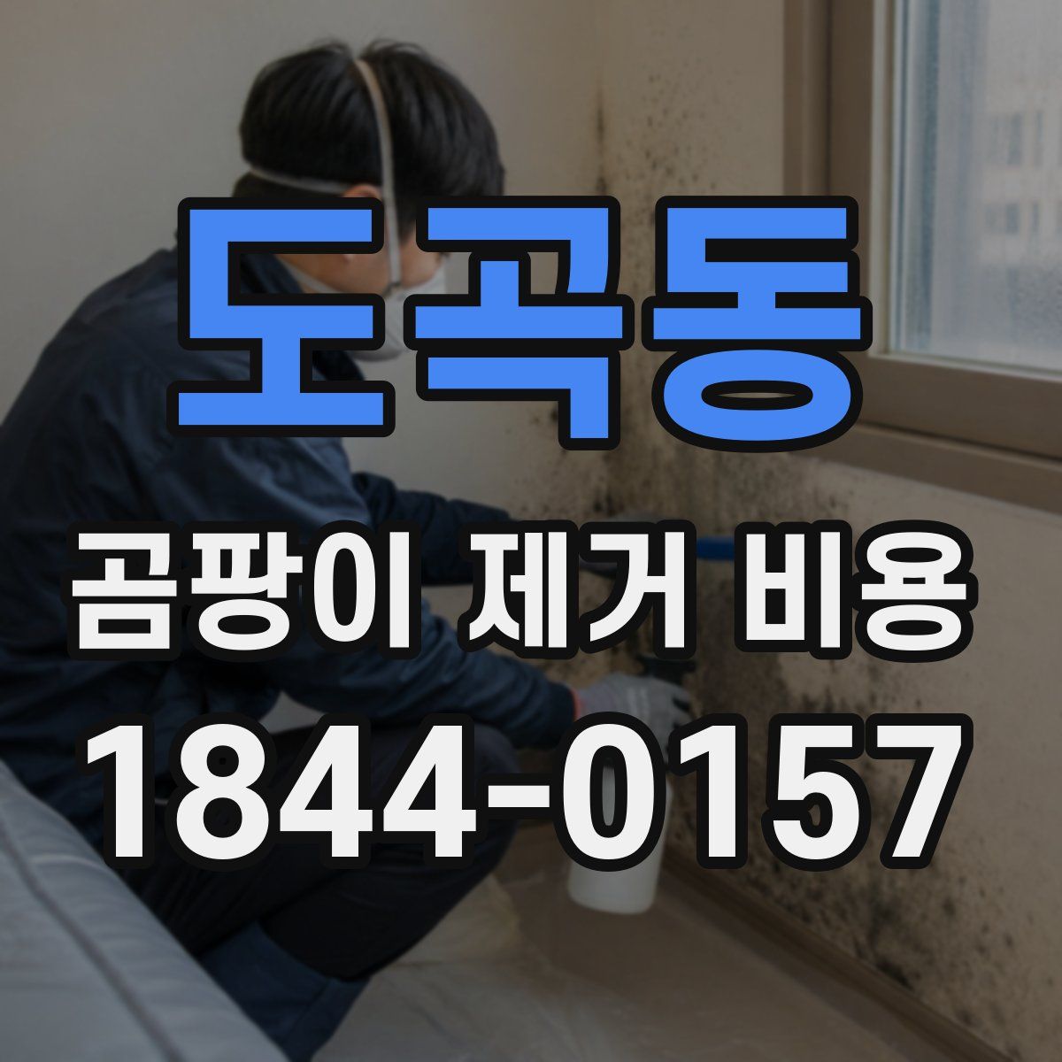 도곡동 곰팡이 제거 비용