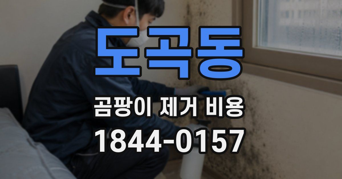 도곡동 곰팡이 제거 비용