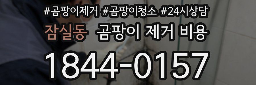 잠실동 곰팡이 제거 비용