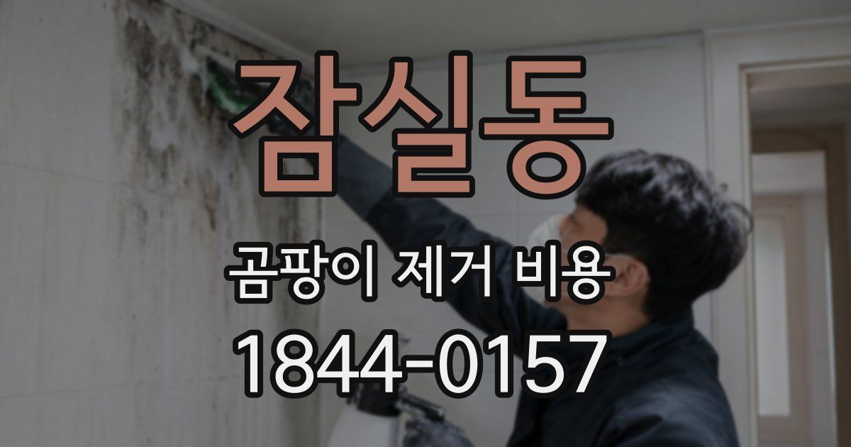 잠실동 곰팡이 제거 비용