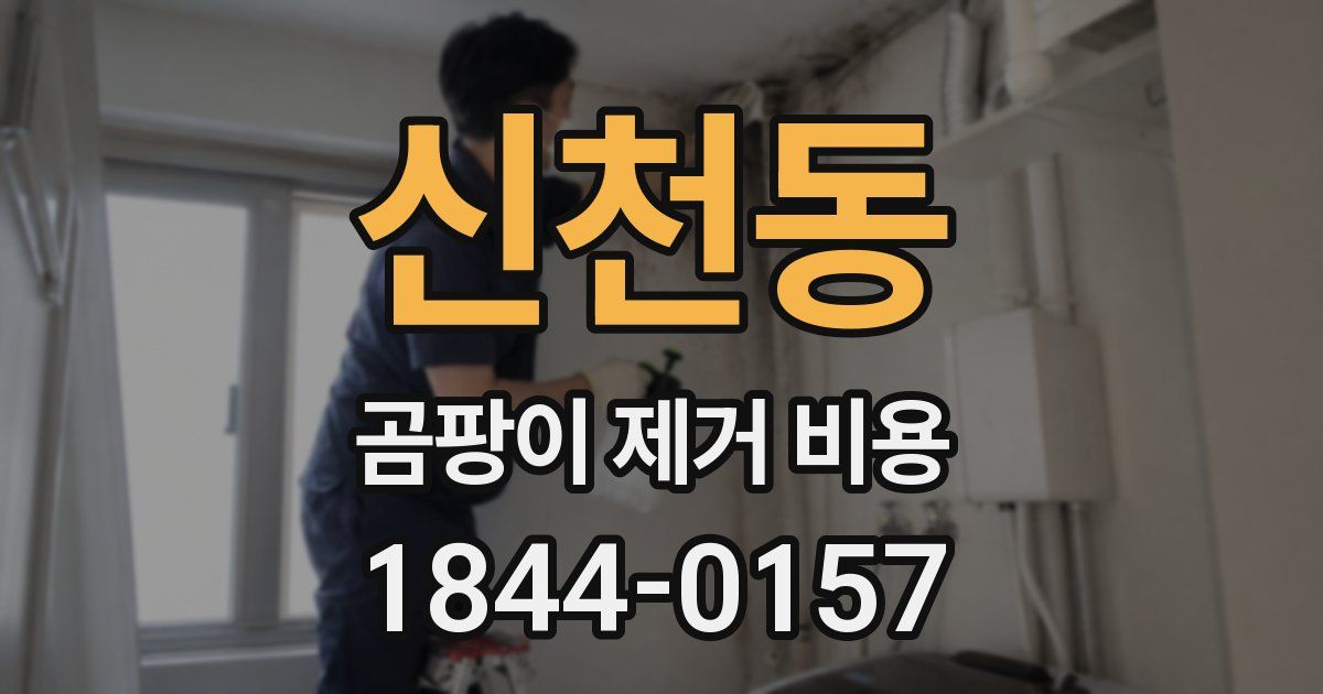 신천동 곰팡이 제거 비용
