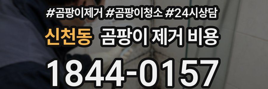 신천동 곰팡이 제거 비용
