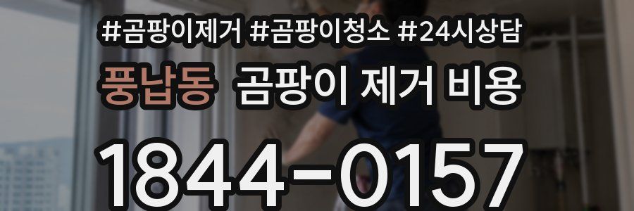 풍납동 곰팡이 제거 비용