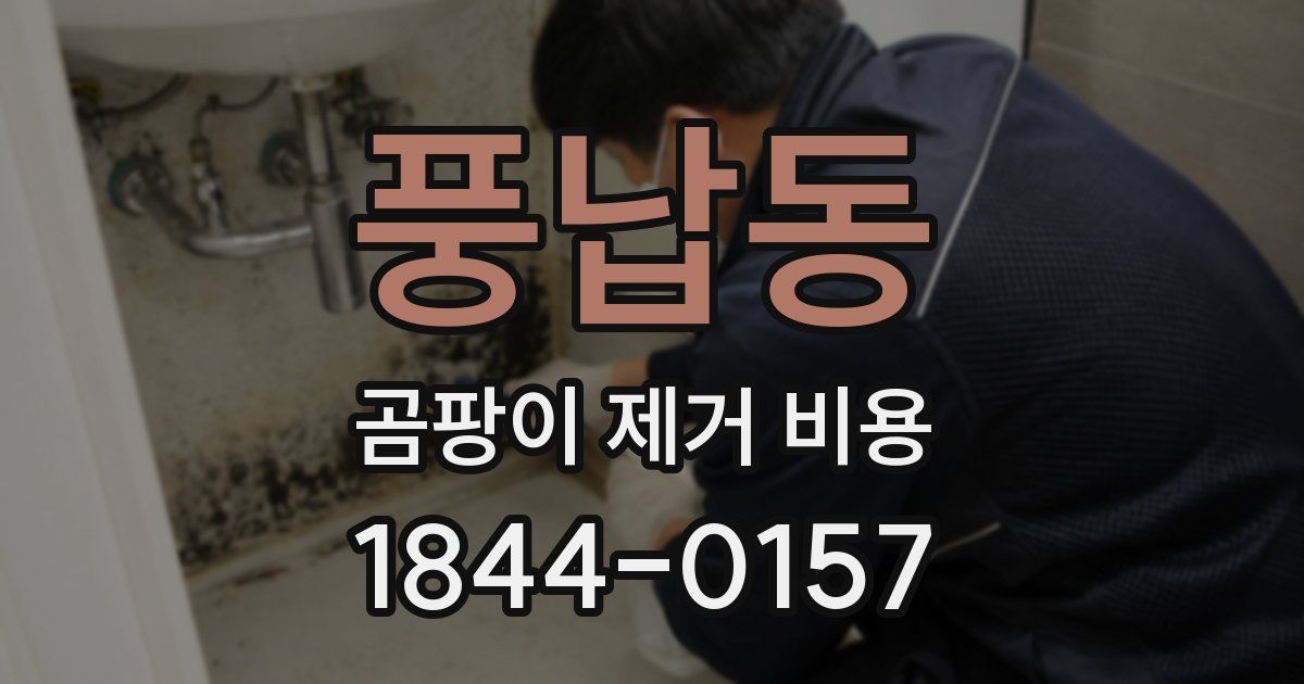 풍납동 곰팡이 제거 비용