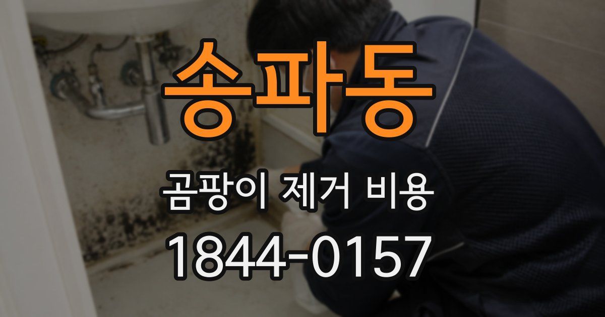 송파동 곰팡이 제거 비용