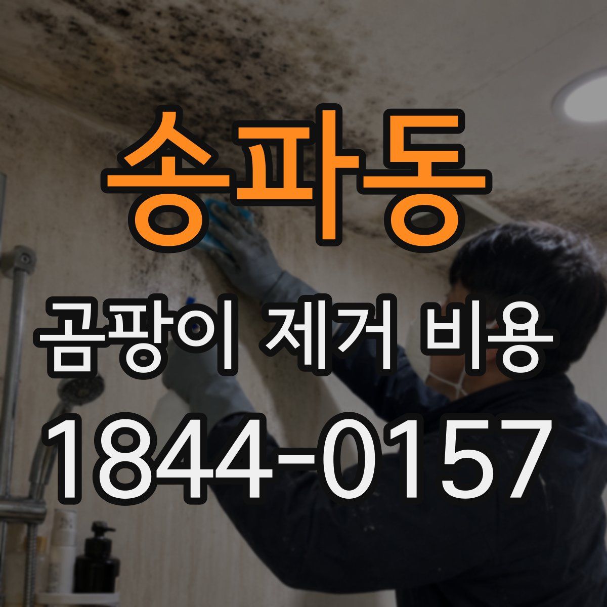 송파동 곰팡이 제거 비용