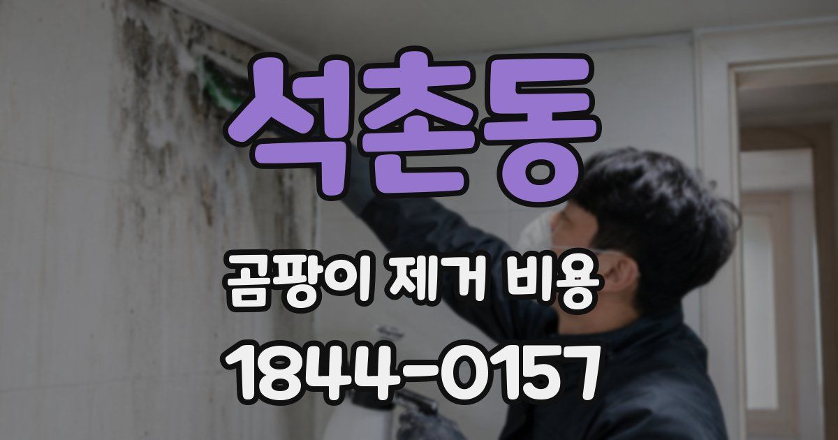 석촌동 곰팡이 제거 비용